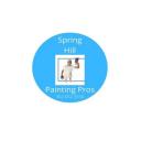 Spring Hill Painting Pros logo